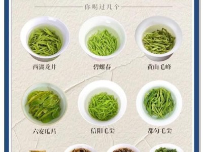 成都茶馆友好度实测，十大知名茶叶自带客的魅力排行