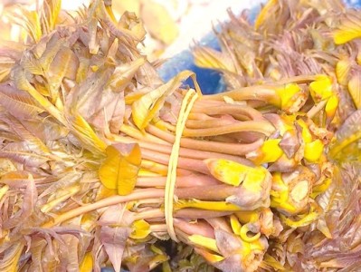 时令野菜市场热销，价格飙升至20元一斤成香饽之选！