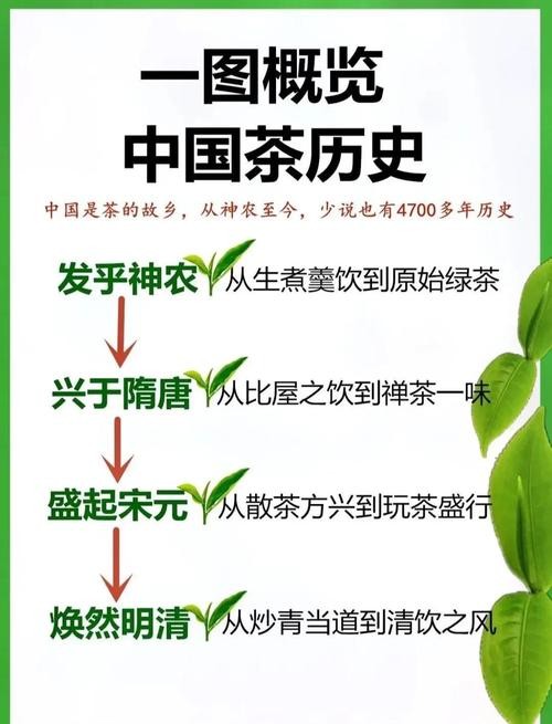 老茶客的品味之道，解析鲜、醇厚与滑