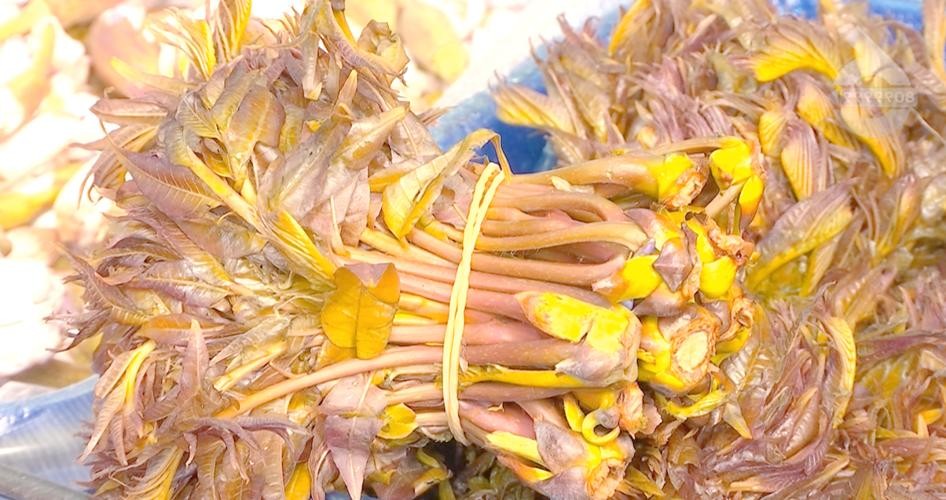 时令野菜市场热销,价格飙升至20元一斤成香饽之选!