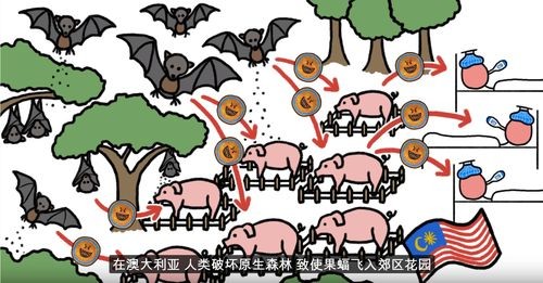 果蝠污染饮料，揭秘孟加拉国尼帕病毒的惊人真相