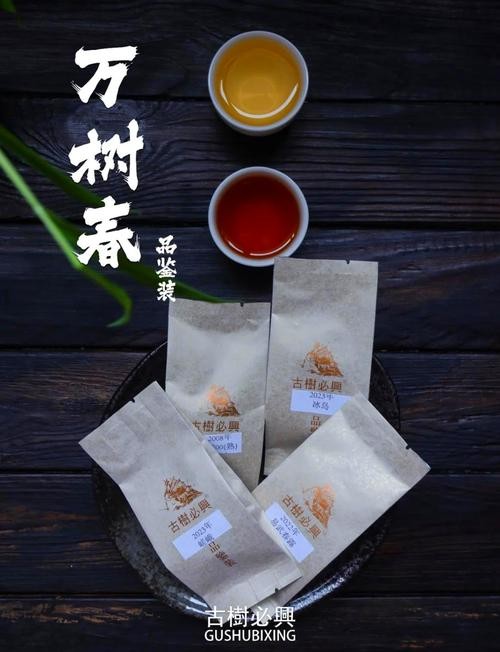 成都湿热下的云南普洱，加速陈化的特有魅力之旅