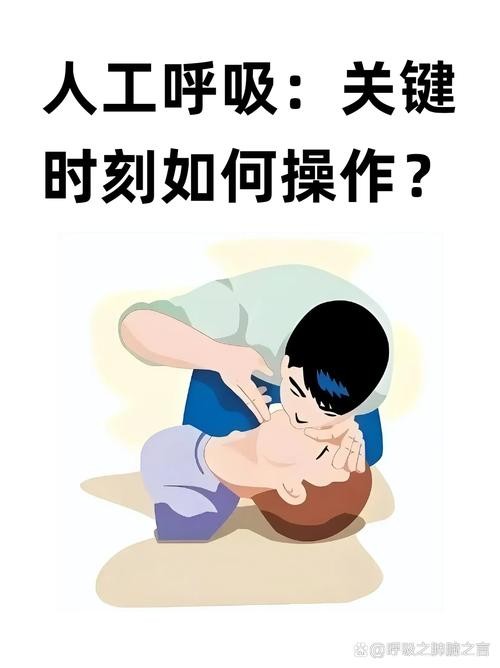 人工肺，生命延续的48小时奇迹守护者