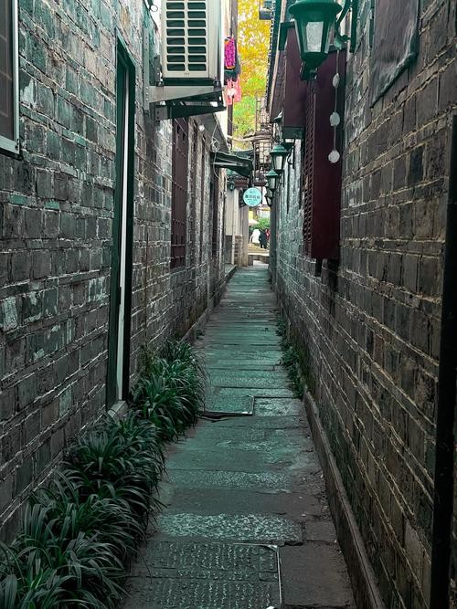 小巷里的温馨选择，宽窄之间，我钟情于自助茶摊的悠闲时光。